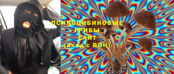 стаф Баксан