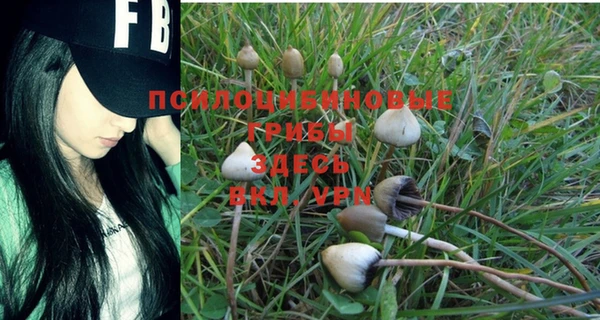 стаф Баксан