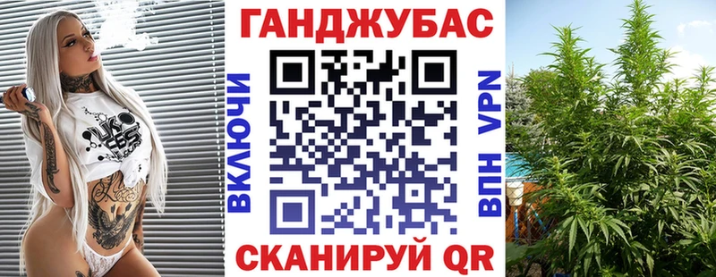 Бошки Шишки ГИДРОПОН  где можно купить   Реж 